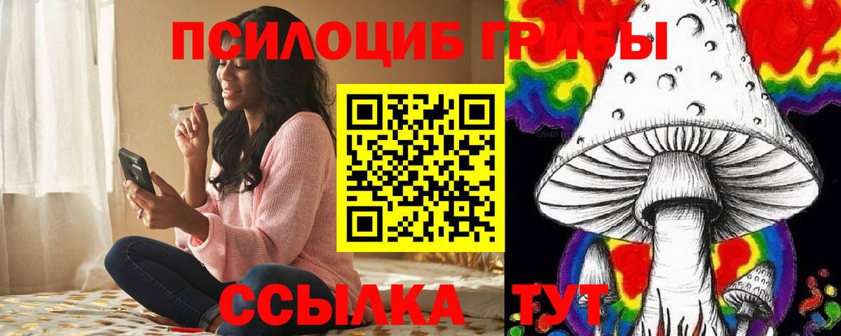 закладки  Краснокаменск  Галлюциногенные грибы прущие грибы 