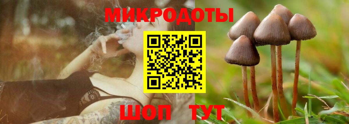 Галлюциногенные грибы мицелий Краснокаменск